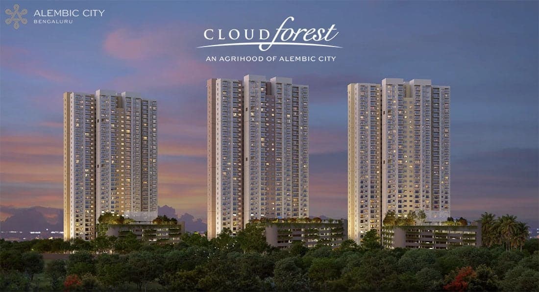 Alembic Cloud Forest Bangalore