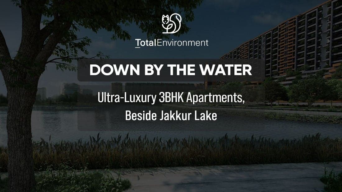 Total Environment Down By The Water Bangalore
