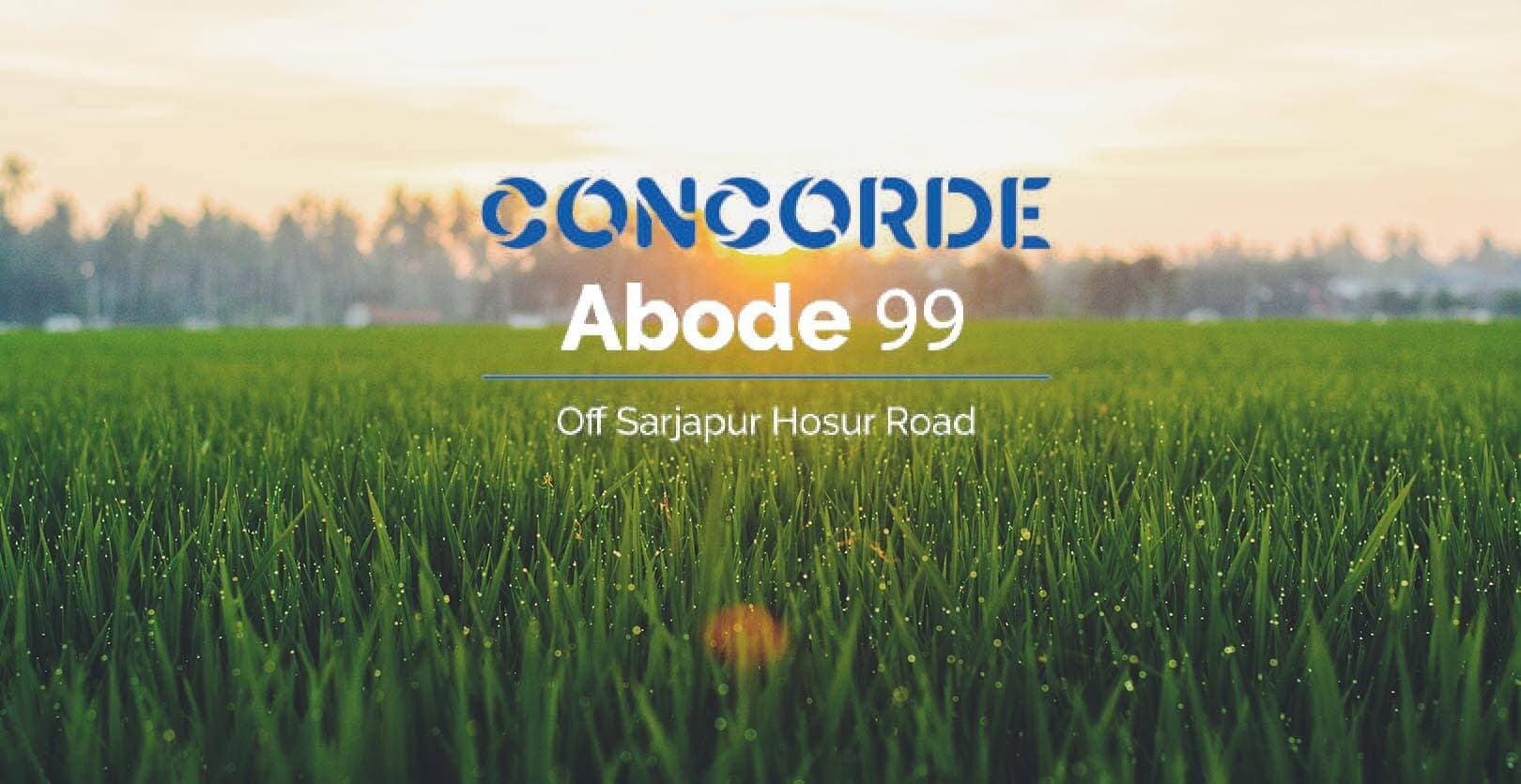 Concorde Abode 99 Sarjapur Hosur Bangalore Reviews Price